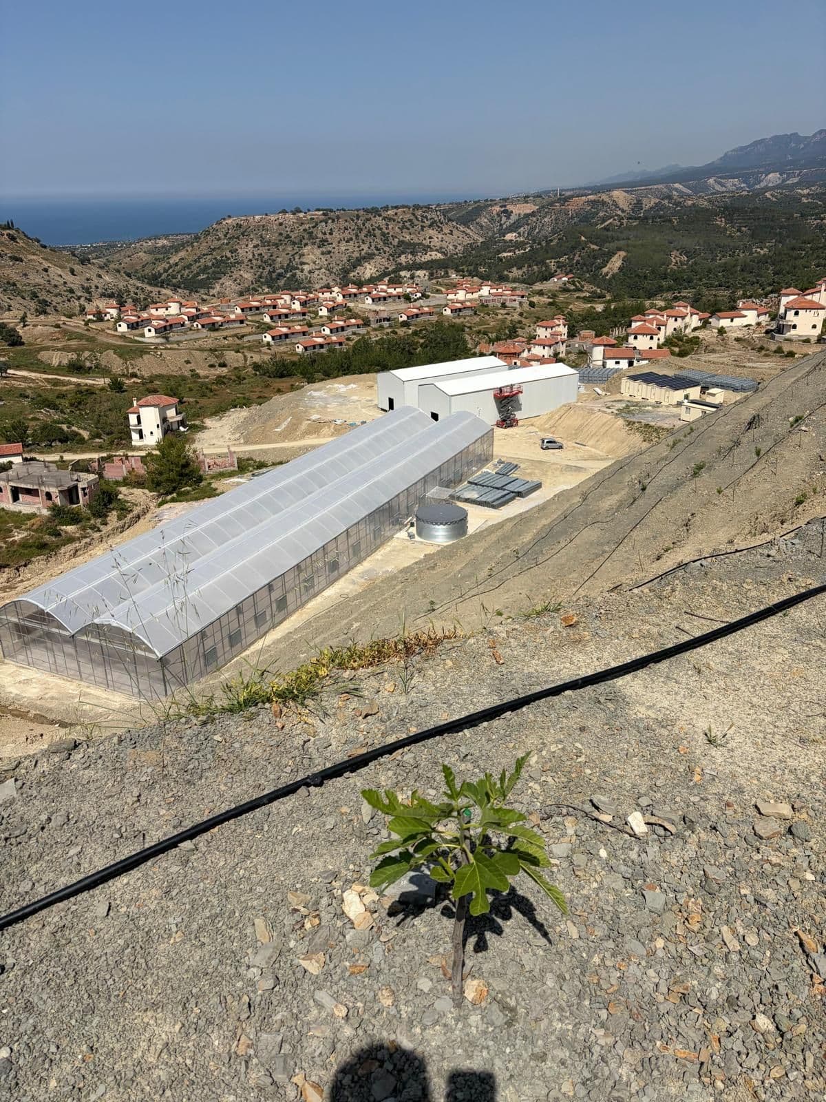 First Three ZQ Organic Facilities in Place as Technology Installation Accelerates